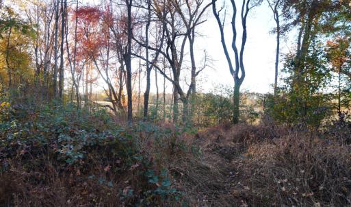 Photo #57 of 10188 Stage Coach Road, Nathalie, VA 2.9 acres