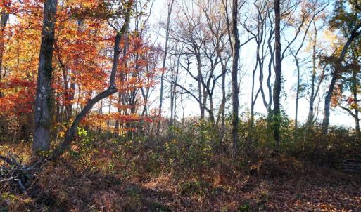 Photo #56 of 10188 Stage Coach Road, Gretna, VA 2.9 acres