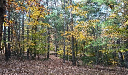 Photo #62 of 125 River Breeze Court, Howardsville, VA 10.2 acres