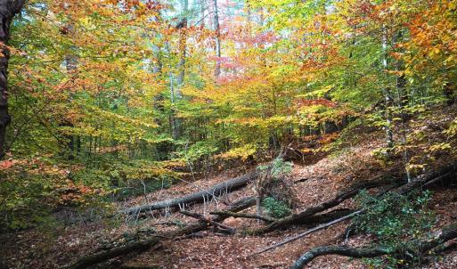 Photo #59 of 125 River Breeze Court, Howardsville, VA 10.2 acres