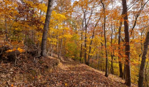 Photo #54 of 125 River Breeze Court, Howardsville, VA 10.2 acres