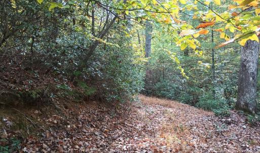 Photo #60 of 125 River Breeze Court, Howardsville, VA 10.2 acres