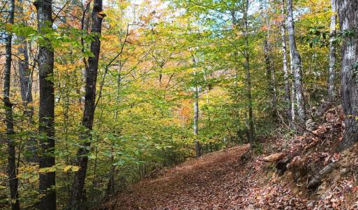 Photo #57 of 125 River Breeze Court, Howardsville, VA 10.2 acres