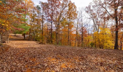 Photo #53 of 125 River Breeze Court, Howardsville, VA 10.2 acres