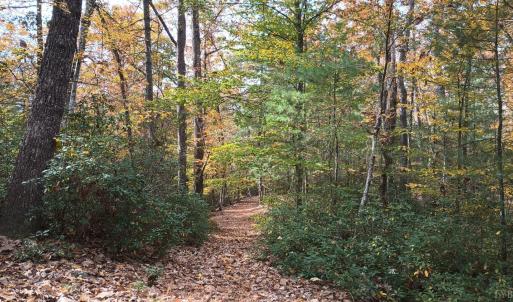 Photo #61 of 125 River Breeze Court, Howardsville, VA 10.2 acres