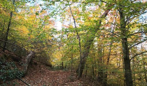 Photo #58 of 125 River Breeze Court, Howardsville, VA 10.2 acres