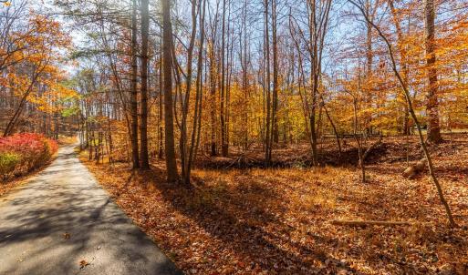 Photo #50 of 208 Merrywood Drive, Forest, VA 3.3 acres