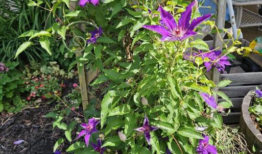 Photo #48 of 1618 Quaker Church Road, Bedford, VA 3.0 acres