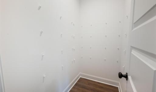 Pantry (shelves will be installed)