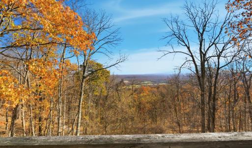 Photo #27 of 371 Hawks Nest Road, Monroe, VA 20.6 acres