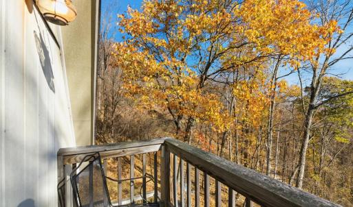 Photo #26 of 371 Hawks Nest Road, Monroe, VA 20.6 acres