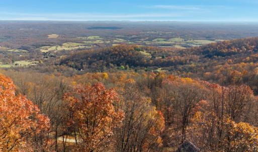 Photo #43 of 371 Hawks Nest Road, Monroe, VA 20.6 acres