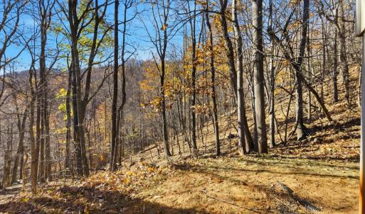 Photo #37 of 371 Hawks Nest Road, Monroe, VA 20.6 acres