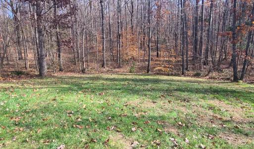 Photo #46 of 1231 Little Bear Lane, Spout Spring, VA 1.1 acres