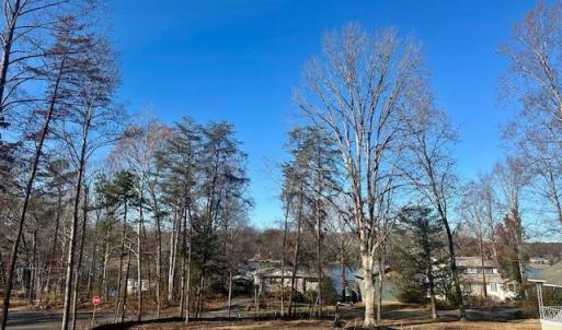 Photo #4 of 238 Ash Road, Louisa, VA 0.3 acres