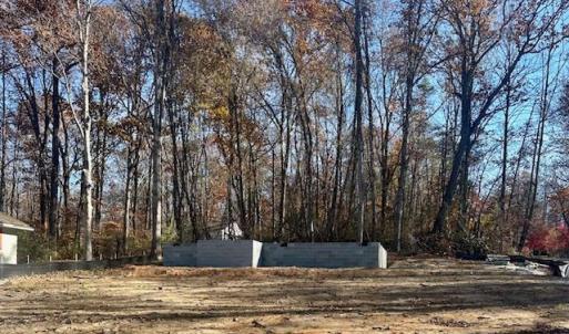 Photo #5 of 238 Ash Road, Louisa, VA 0.3 acres