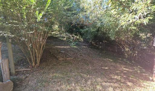 Photo #6 of 1215 Heath Avenue, Lynchburg, VA 0.7 acres