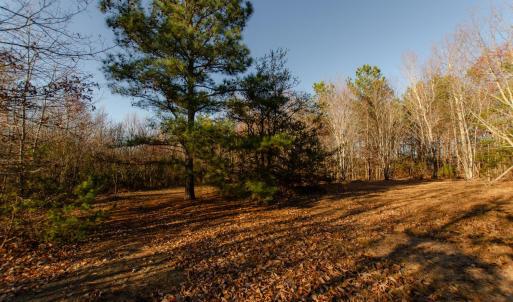 Photo #39 of 1708 Mud Street, Concord, VA 3.0 acres