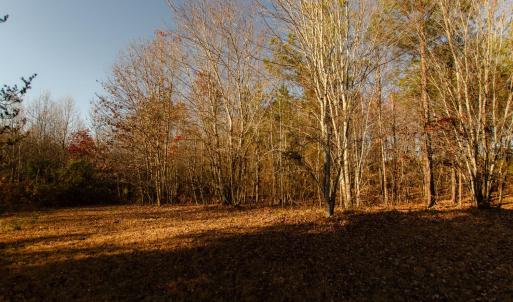 Photo #41 of 1708 Mud Street, Concord, VA 3.0 acres