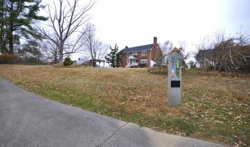 Photo #69 of 114 Lake Ridge Drive, Forest, VA 0.7 acres