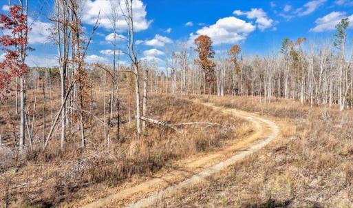 Photo #82 of 5050 Falkland Road, Scottsburg, VA 159.2 acres