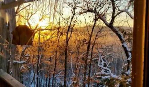 Photo #97 of 5050 Falkland Road, Scottsburg, VA 159.2 acres