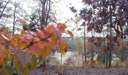 Photo #93 of 5050 Falkland Road, Scottsburg, VA 159.2 acres