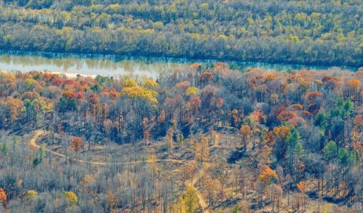Photo #77 of 5050 Falkland Road, Scottsburg, VA 159.2 acres