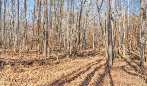 Photo #69 of 5050 Falkland Road, Scottsburg, VA 159.2 acres