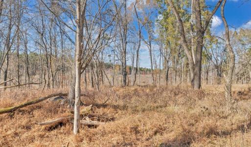 Photo #65 of 5050 Falkland Road, Scottsburg, VA 159.2 acres