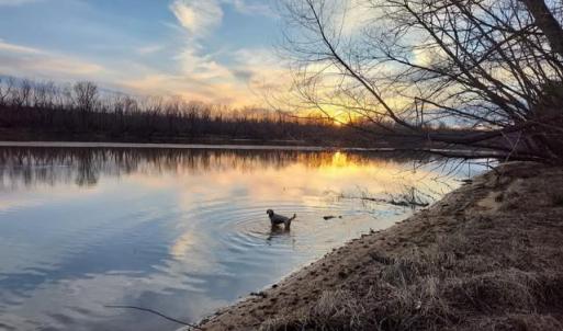 Photo #94 of 5050 Falkland Road, Scottsburg, VA 159.2 acres