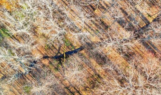 Photo #75 of 5050 Falkland Road, Scottsburg, VA 159.2 acres