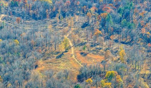 Photo #78 of 5050 Falkland Road, Scottsburg, VA 159.2 acres