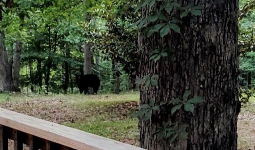 Photo #92 of 5050 Falkland Road, Scottsburg, VA 159.2 acres