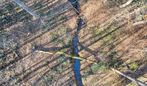 Photo #76 of 5050 Falkland Road, Scottsburg, VA 159.2 acres