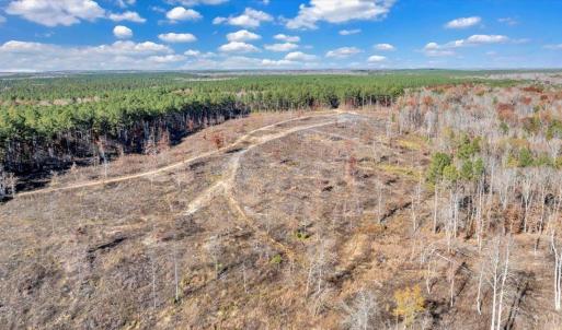 Photo #72 of 5050 Falkland Road, Scottsburg, VA 159.2 acres
