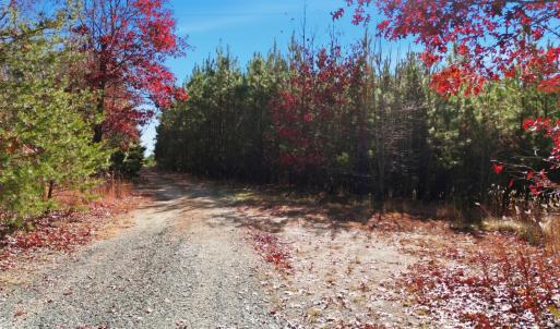 Photo #40 of 1690 Poorhouse Creek Road, Appomattox, VA 25.5 acres