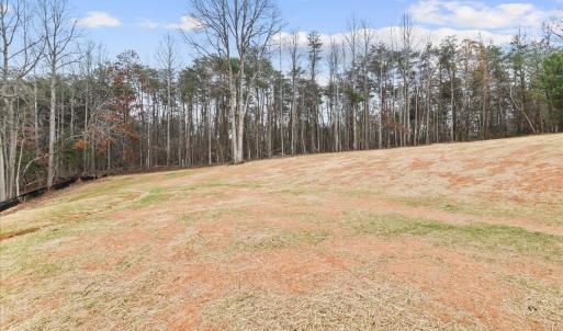 Photo #69 of 1100 Brandy Springs Court, Forest, VA 1.4 acres