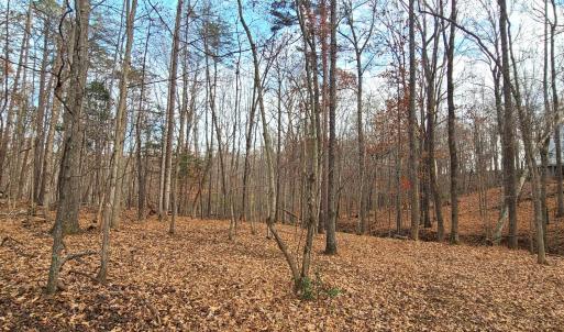 Photo #48 of 103 Brockenbrough Place, Forest, VA 2.4 acres