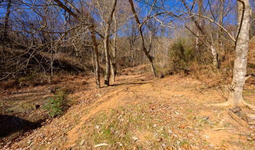 Photo #47 of 389 Ambrose Rucker Road, Monroe, VA 8.6 acres