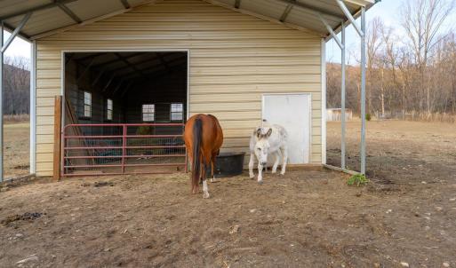 Photo #85 of 7585 Peaks Road, Bedford, VA 6.0 acres