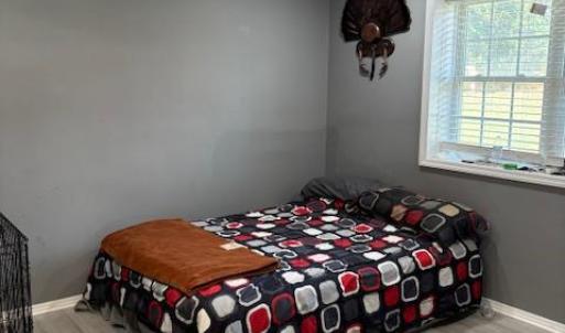 Photo #15 of 104 Creston Oaks Court, Forest, VA 0.2 acres