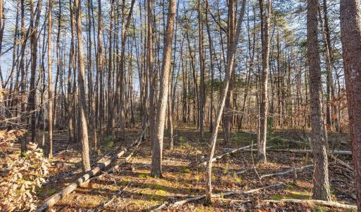 Photo #54 of 1510 Beacon Hill Rd A, Afton, VA 7.7 acres