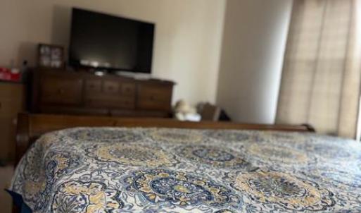 Photo #28 of 193 Stoney Creek Drive, Madison Heights, VA 1.5 acres