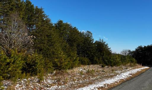 Photo #21 of 1796 Owens Mill Rd, Gretna, VA 5.4 acres