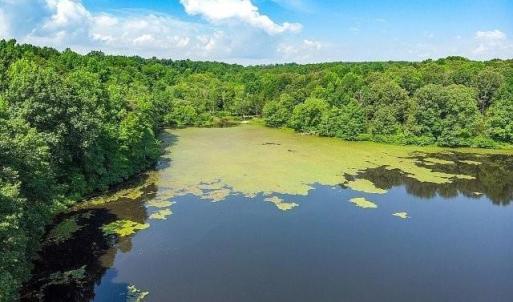 Photo #47 of 93 Lake Pointe Court, Pamplin, VA 2.6 acres