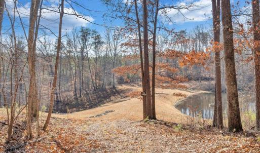 Photo #94 of 780 Dry Bridge Road, Farmville, VA 100.6 acres