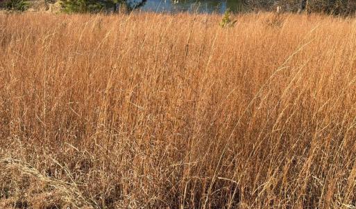 Photo #23 of 2779 Oakville Road, Appomattox, VA 14.5 acres