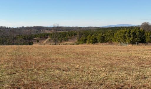 Photo #21 of 2779 Oakville Road, Appomattox, VA 14.5 acres