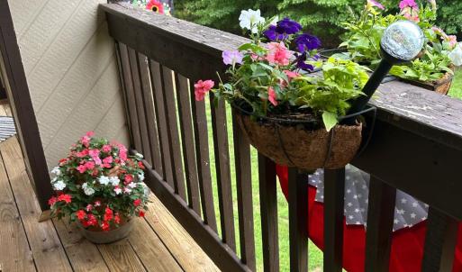 Photo #46 of 208 Manor Drive, Forest, VA